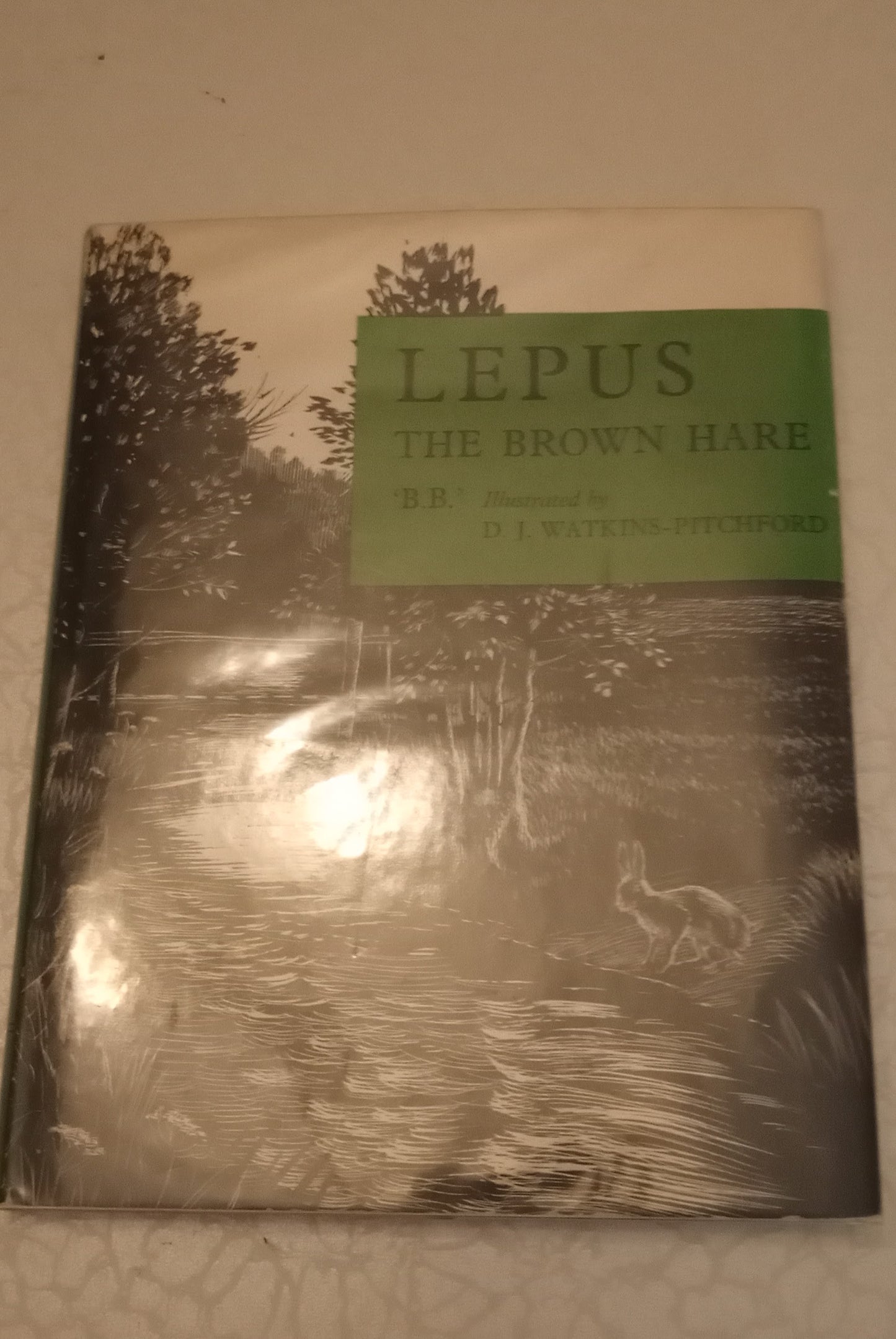 Lepus The Brown Hare