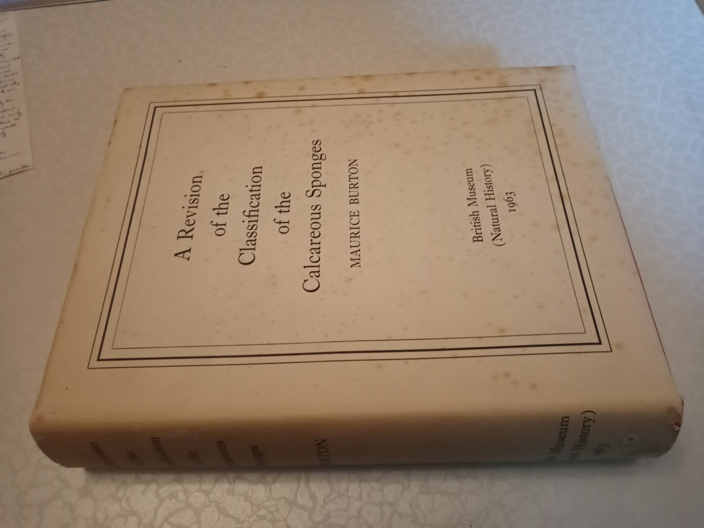 A Revision Of The Classification Of The Calcareous Sponges: With A Catalogue Of The Specimens In The British Museum