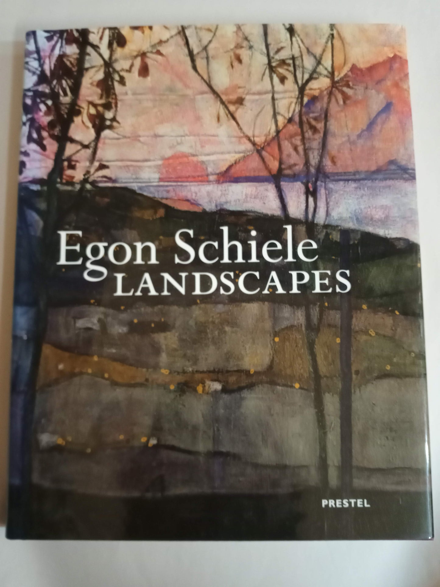 Egon Schiele: Landscapes