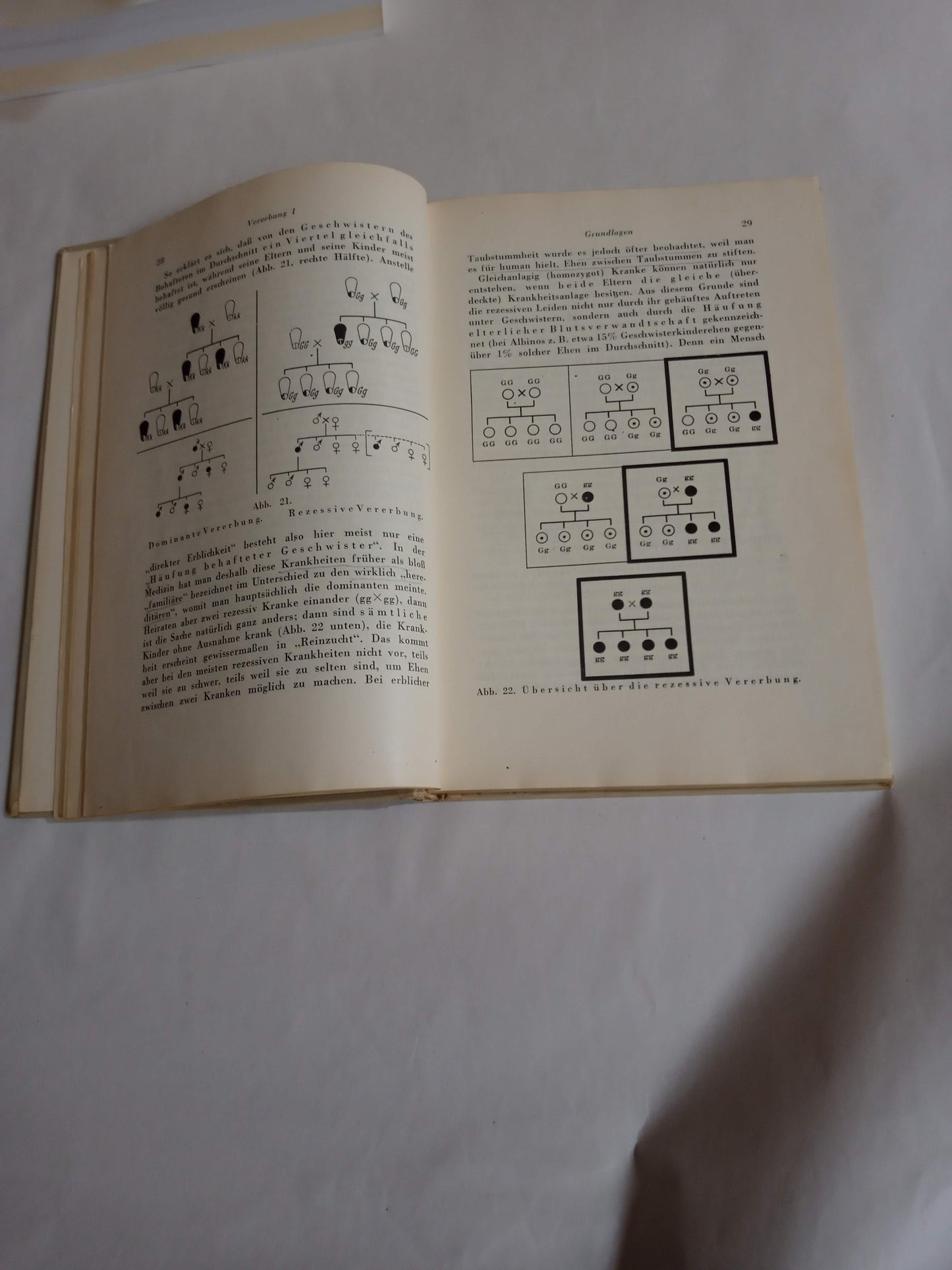 Grundzüge Der Vererbungslehre, Rassenhygiene Und Bevölkerungspolitik