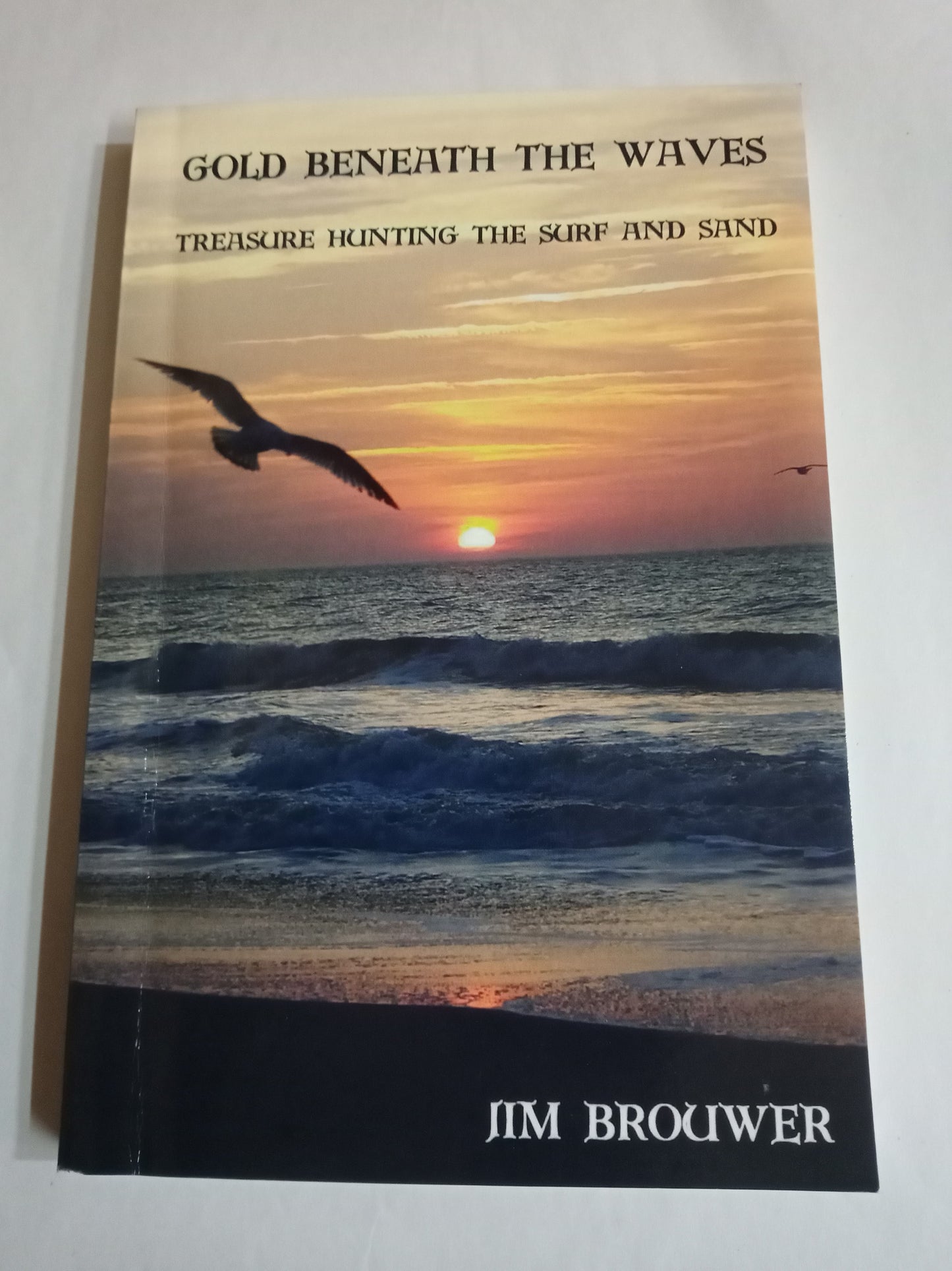 Gold Beneath The Waves: Treasure Hunting The Surf And Sand