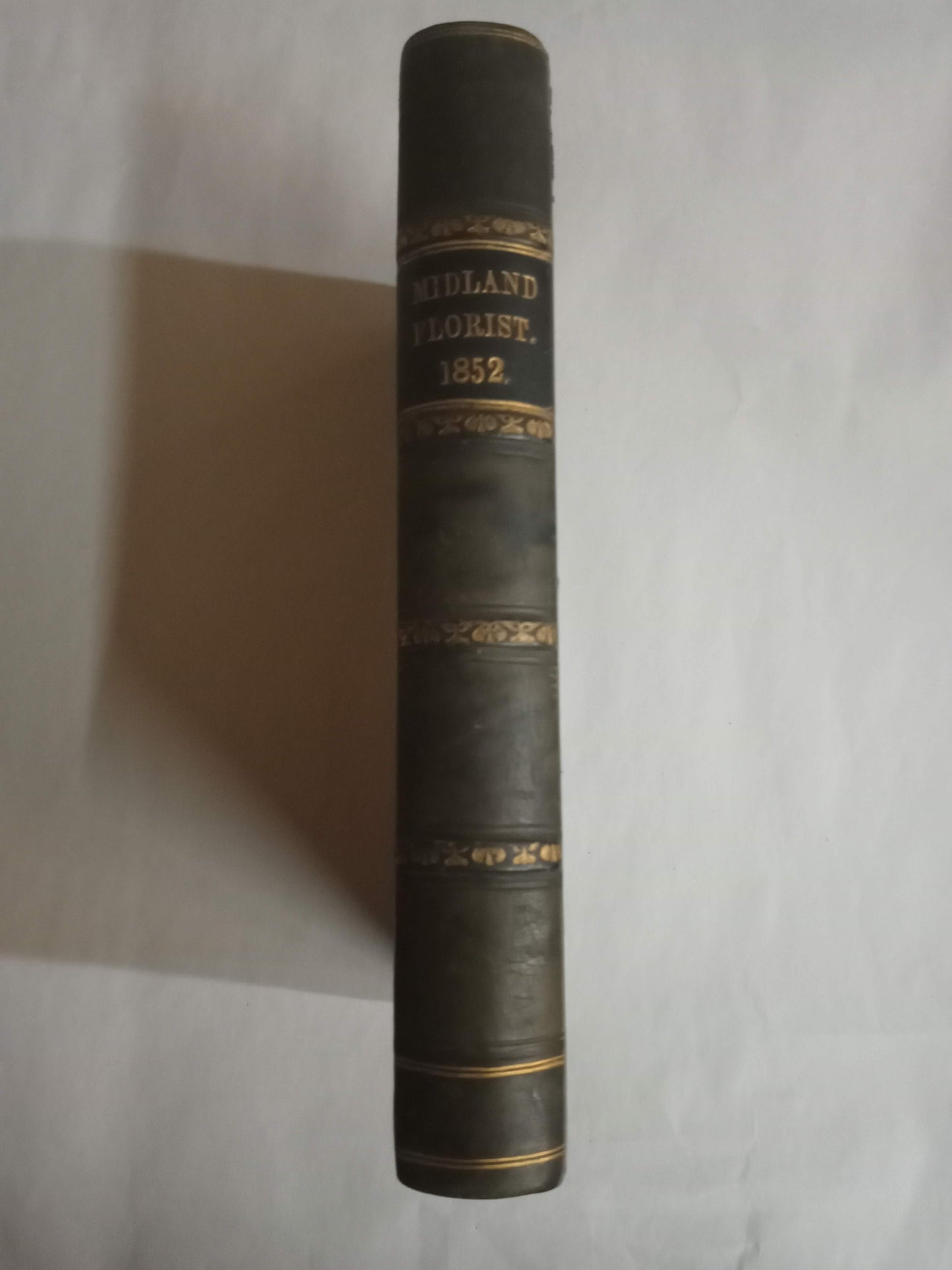 The Midland Florist And Horticulturist Volume Vi (6)